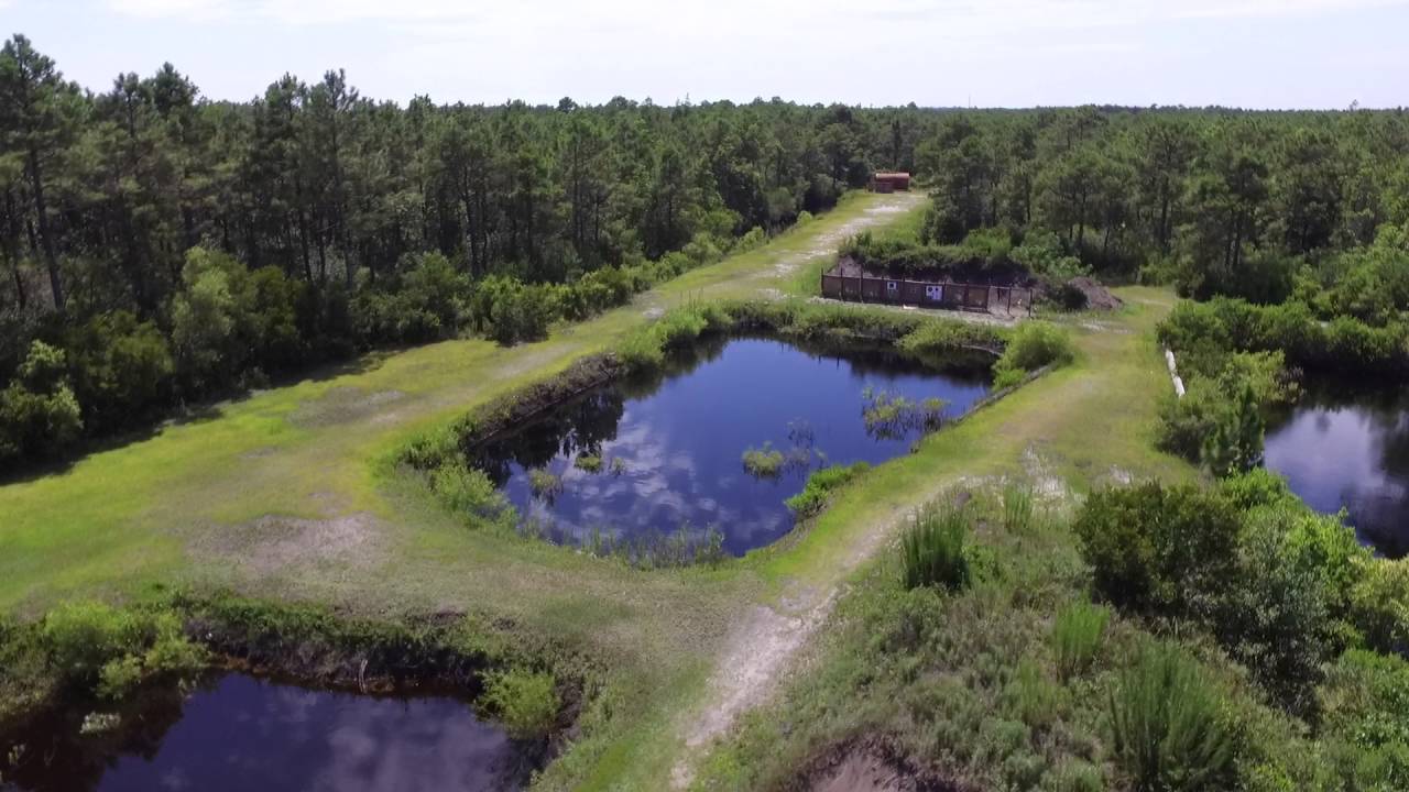 Ye Olde Gun Club Southport Nc
