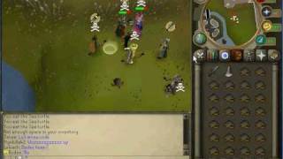 Runescape Private Server OWNAGE