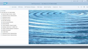 Assigning Authorization Groups to Programs