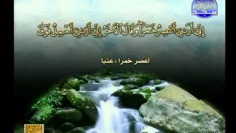 من الاية 7 الى الاية 52 من سورة يوسف ــ محمد مصطفى الزيات