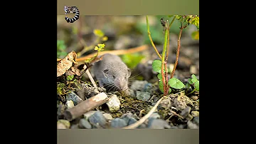 Самая ПРОЖОРЛИВАЯ КРОХА