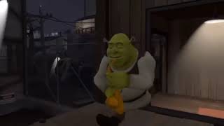 Shrek 30 seconds