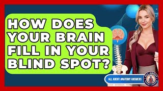 Celebrity How Does Your Brain Fill In Your Blind Spot? - All About Anatomy Answers Wealth