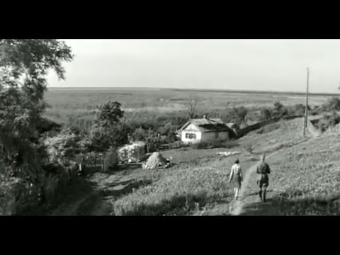 Видео: Не забудь! Станция Луговая. Фильм 1966