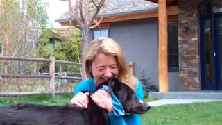 Make Everything Fun Blooper Video With Dog Peeing In Background