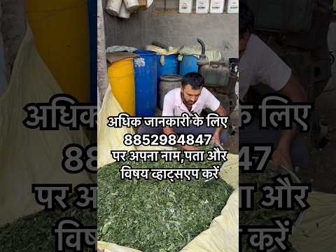 मच्छर,रसचूसक कीटों का इलाज । how to control thrips in crops । how to make pesticide at home #farming