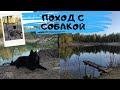 Первый поход с собакой.