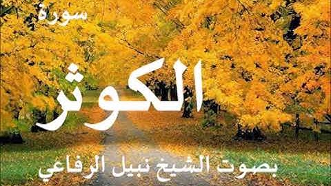 108  سورة الكوثر بصوت نبيل الرفاعي