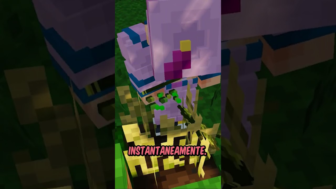 NO INICIO do HG NÃO existia SOPAS! 