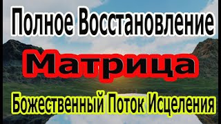 Божественная Матрица Ангельские Потоки Исцеления Полное Восстановление Всего Организма