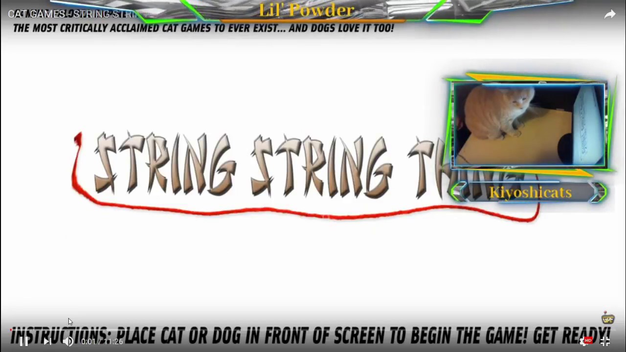 Cat Loves String String Thing Video YouTube