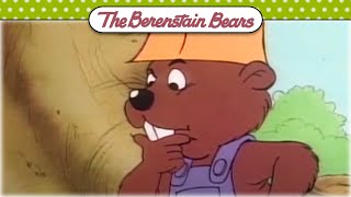 The Expert Engineer! ? Berenstain Bears Official