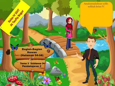 BAGIAN-TUBUH HEWAN - YouTube