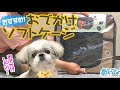 【お盆の帰省にも！】折りたたみソフトケージに犬の反応は!?