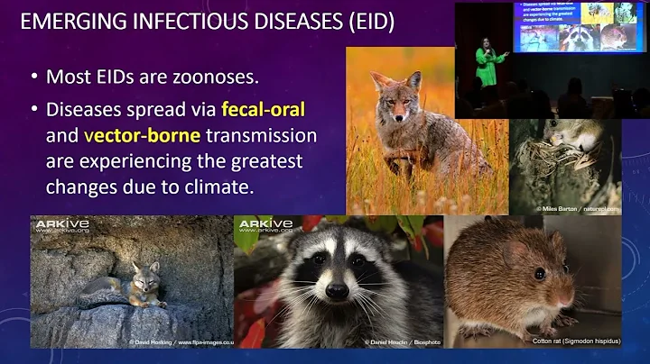 "Cataclysmic Climate Contagions" by Stavana E. Strutz, PhD - Nerd Nite Austin 150, September 2023