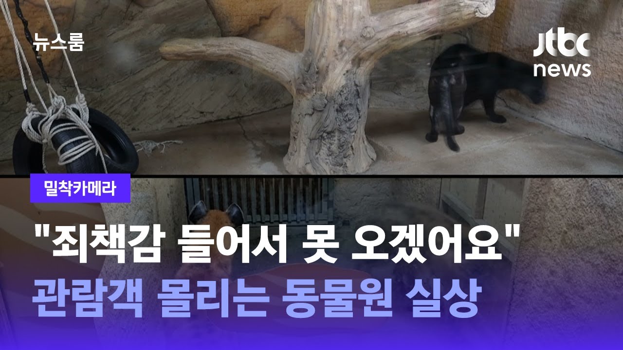 [밀착카메라] 관람객 즐거움은 '잠깐'…갇힌 동물 고통은 '평생' / JTBC 뉴스룸