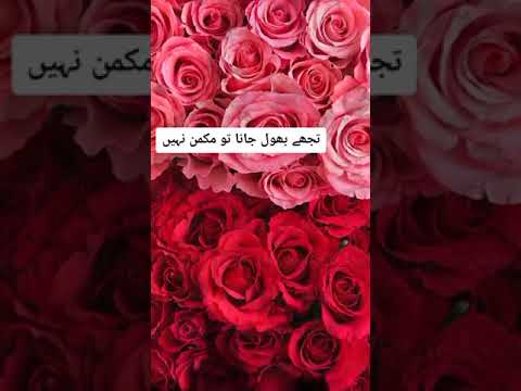 ??|| Tujhe Bhul Jana Tu Mumkin Nhi ?? || Urdu Lyrics WhatsApp Status || Sad Shayari In Urdu