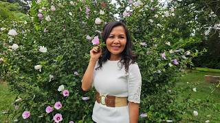 Lub Secret Phone Nyiag Tham Hluas Nraug.  8/26/2026