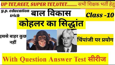 Kohler Theory | कोहलर का अंतर्दृष्टि सिद्धांत | Insight Learning | UPTET CTET REET Psychology