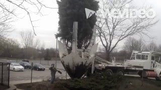 SCC Tree removal 2016 03 30