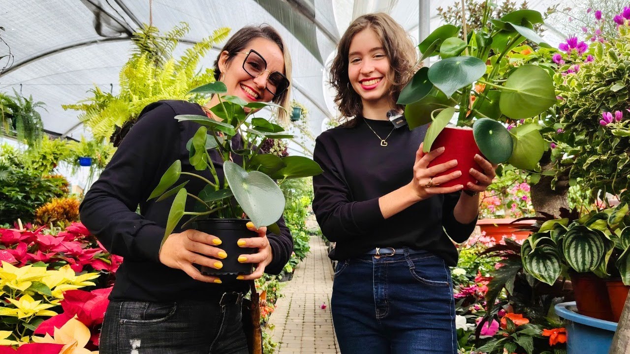 ¿La planta del DINERO funciona? | Lo que encontramos en Nayón, el jardín de Quito 🌿💸
