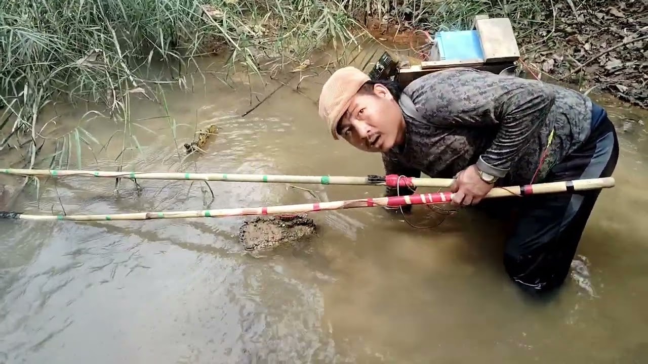 “Battery Fishing in a Jungle Stream ⚡🎣 | Massive Catch!”