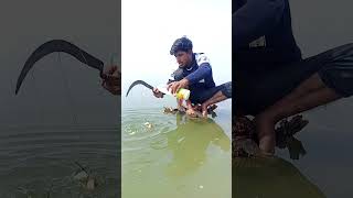 Catching Big Fish With Nobin