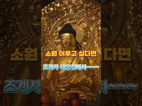 소원을 이루고 싶다면! 조계사 대웅전