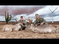 2 bucks in 30 minutes massive 12 year old whitetail  hunting big south texas bucks pt 2