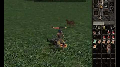 metin2 ninja pvp virgo