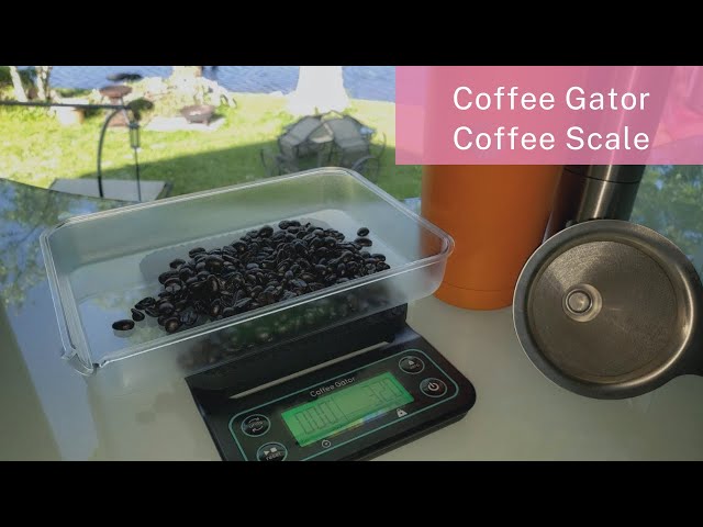  Coffee Gator Coffee Scale – Digital, Multifunctional, Weighing  Kitchen Scale w/Timer & ﻿Large LCD for Food, Espresso and Drink: Home &  Kitchen