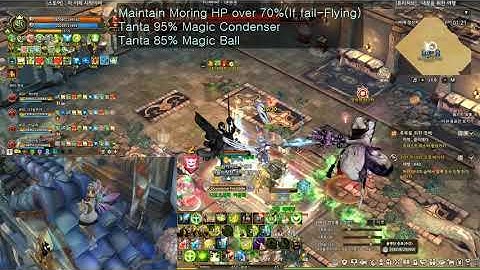 [Tree of Savior(TOS)] Lepidoptera Junction Legend Raid Hard mode Guide Tactics(Strategy) for Healer