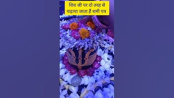 शमी पत्र ऐसे चढ़ाने से जल्दी पूरी होगी कामना #pradeepmishra #shivpuran #mahadev #shorts#viral#status