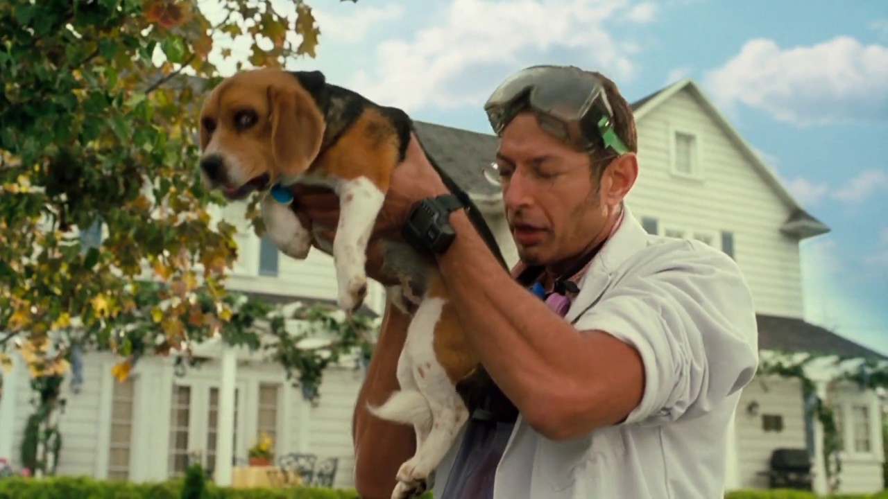 jeff goldblum sniffing dogs - YouTube