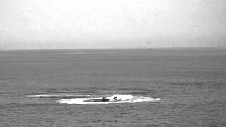 Scooters Des Mers...jets Skis Bastia Corse.