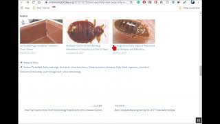 Celebrity Does Boric Acid Really Kill Bed Bugs & German Roaches. See lab results. Profile