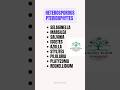 Heterosporous Pteridophytes | #neet #shorts