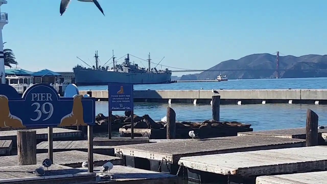 IEM Oakland 2016 | San Francisco