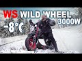 Citycoco WS-WILD WHEEL электро чоппер! Жесткий тест-драйв