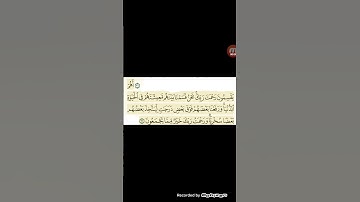 ما تيسر من سورة الزخرف بصوت القارئ أبو محمد الرشيد