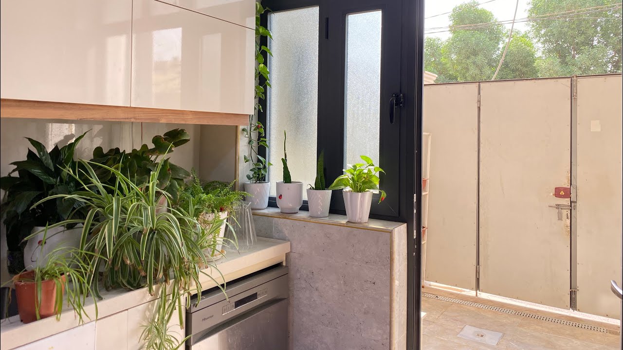 الشكل الجديد لحديقتي الصغيره🪴🌵/غسل الزوالي🪣🚰ترتيب البيت🏠