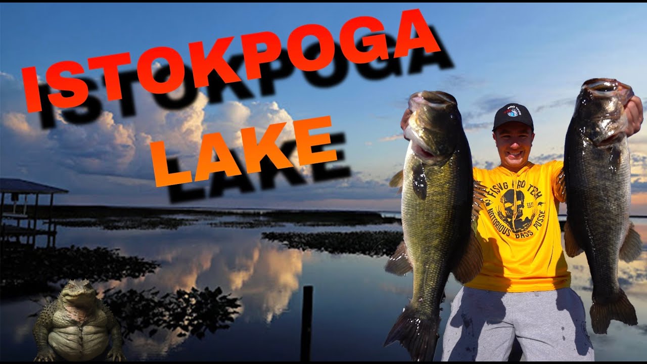 New Lake = BIG BASS II Lake Istokpoga Bass Fishing