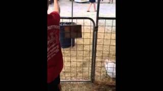 Day With Thomas Video 23