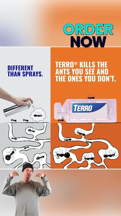 TERRO Ant Killer Liquid