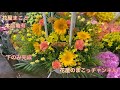 【花屋が作るスタンド花2段の巻】花屋のまこっチャンネル