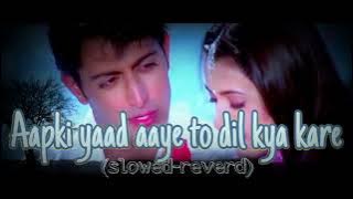 Aapki yaad aaye to dil kya kare |slowed Reverd] song🎵
