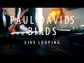 Epic Live GUITAR LOOPING - Birds