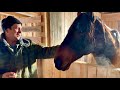 Новости нашего хозяйства на озере Глухое-Мякушинское! Карачаевская порода лошадей