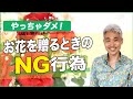 それダメ！お花を贈るときのNG行為6選【基礎マナー】