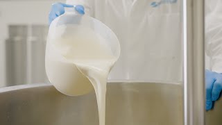 How to Manufacture Batter Mixes